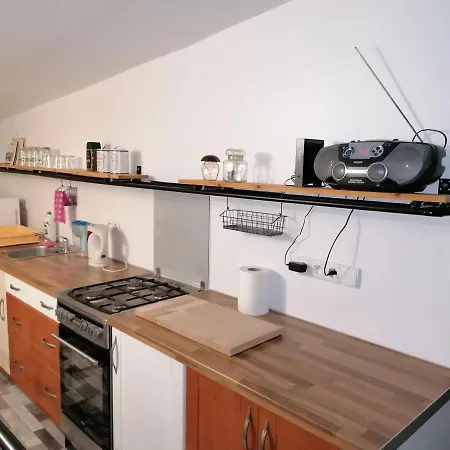 בית הארחה Robi Loft Apartament טארנאו
