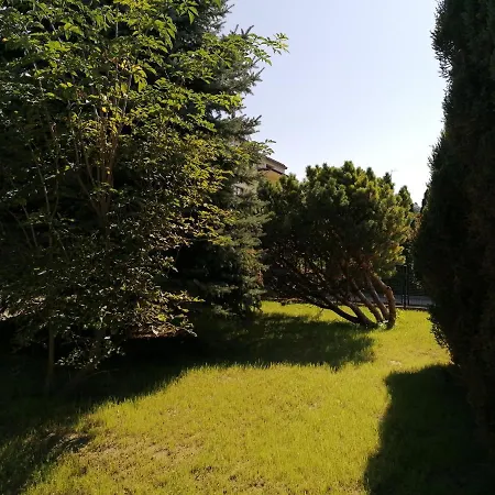 Robi Loft Apartament בית הארחה טארנאו
